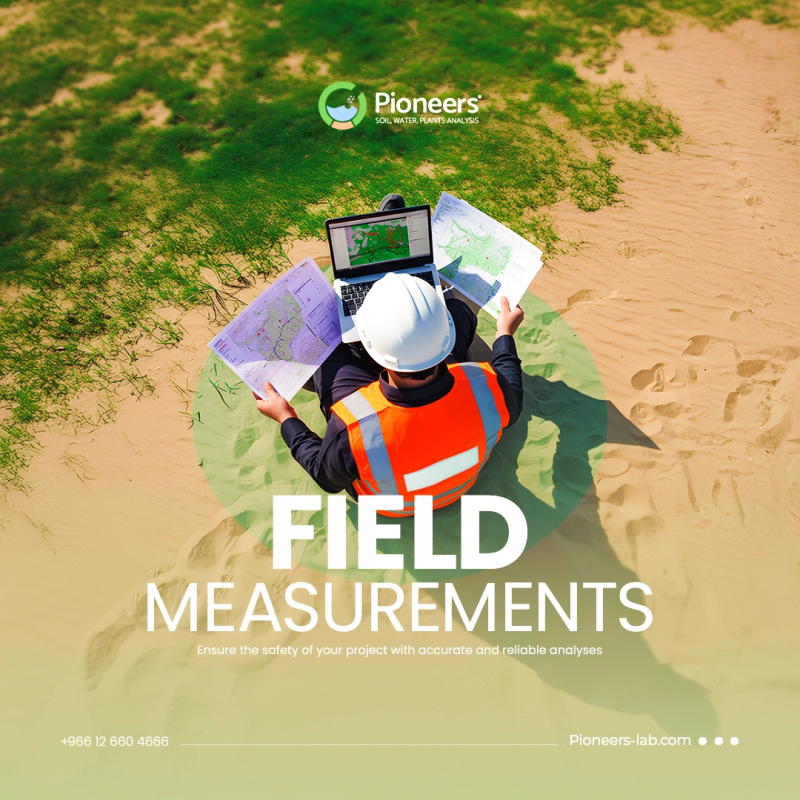 pioneers Social Media Post