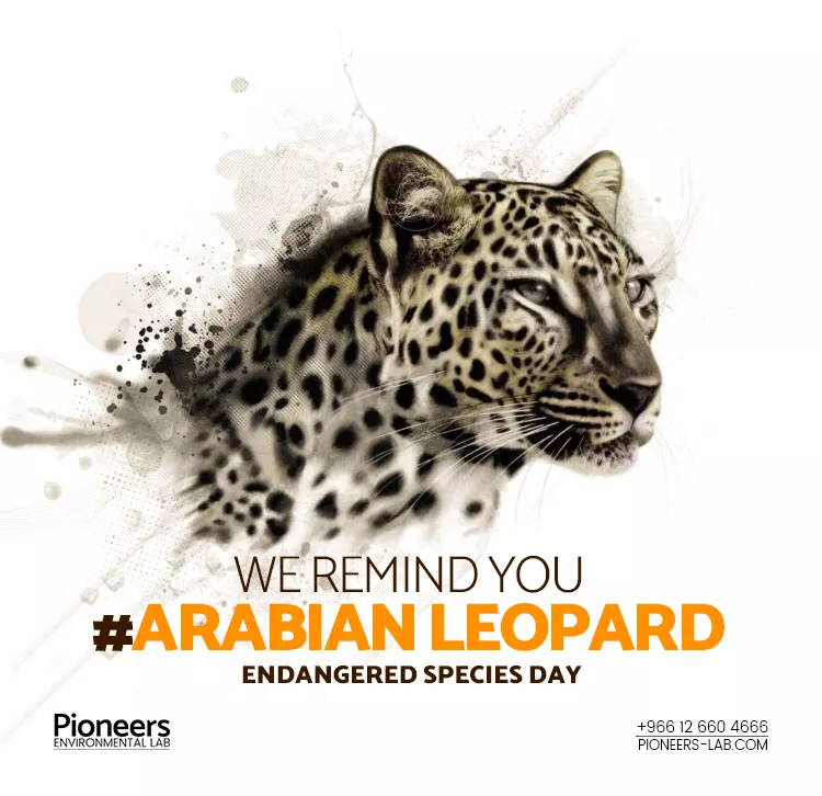 Pioneers Social Media Event Post