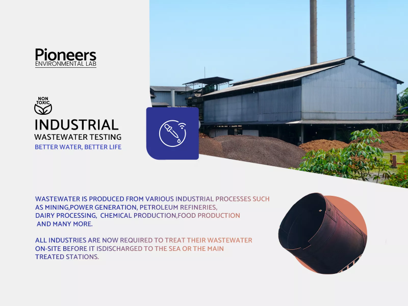 Pioneers Social Media Post