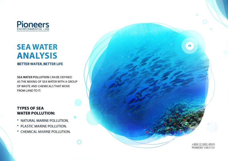 Pioneers Social Media Awareness Post