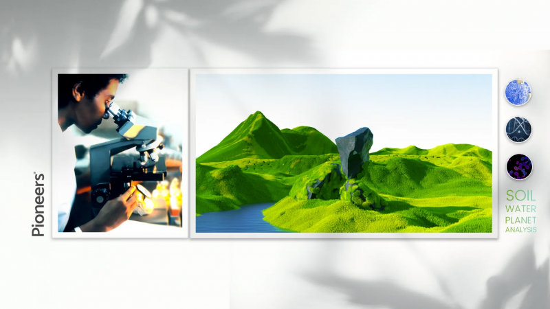 Pioneers Social Media cover Post